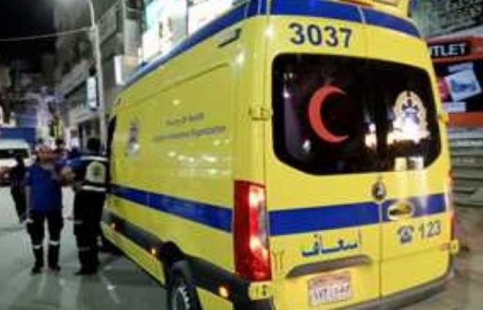 بالأسماء.. إصابة 7 أشخاص في انقلاب سيارة بصحراوي ملوي بالمنيا .. بوابة المساء الاخباري