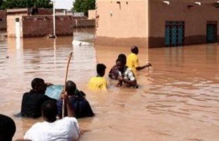 متحدث "الصليب الأحمر": نعمل على تخفيف معاناة متضررى السيول فى السودان - المساء الاخباري