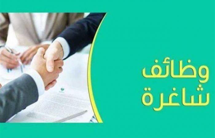 وظائف
      وزارة
      المالية
      2024..
      المستندات
      المطلوبة
      وطريقة
      التقديم - بوابة المساء الاخباري