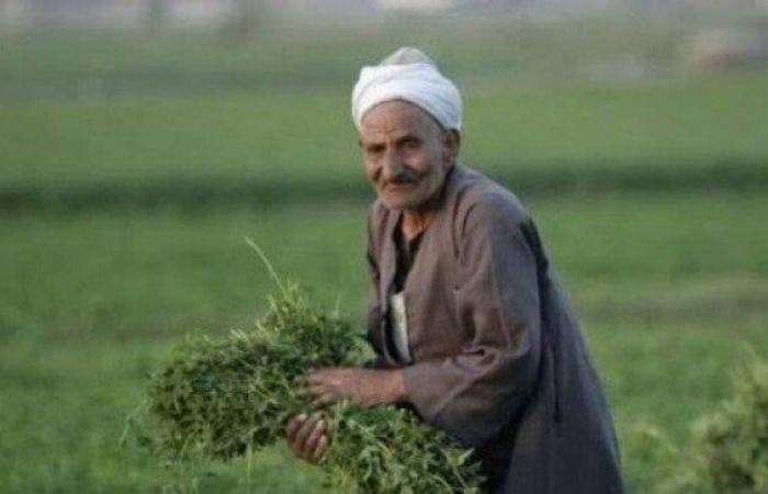 الحكومة
      في
      عيد
      الفلاح:
      نؤمن
      بالدور
      الكبير
      الذي
      يقوم
      به - بوابة المساء الاخباري