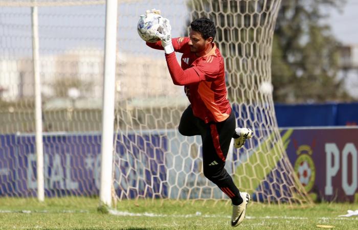 شاهد كواليس مران الأهلي الأخير في نيروبي قبل مواجهة جورماهيا الكيني - المساء الاخباري