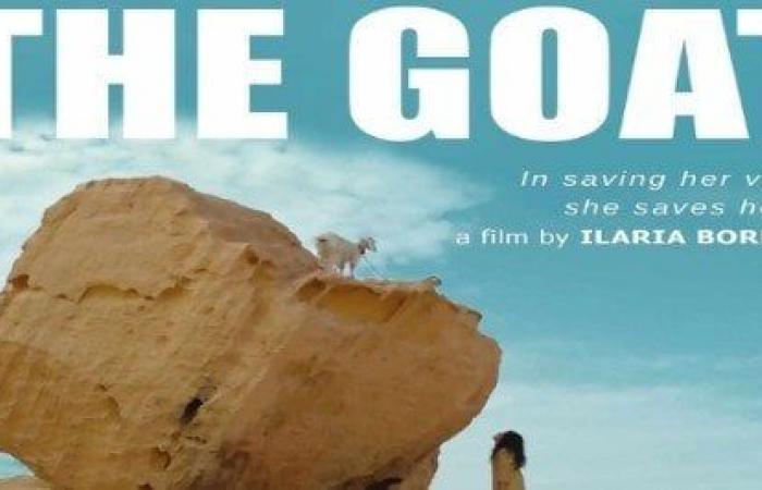 موعد
      طرح
      فيلم
      the
      goat
      لـ
      عمرو
      سعد
      في
      دور
      العرض
      السينمائية - بوابة المساء الاخباري