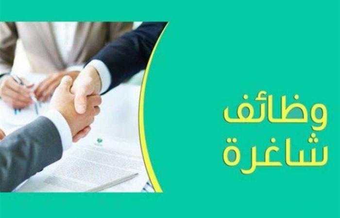 وظائف
      بنك
      القاهرة
      2024..
      الشروط
      وطريقة
      التقديم - بوابة المساء الاخباري