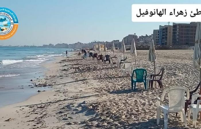 أجواء
      خريفية
      نهارًا
      باردة
      ليلًا
      على
      أحياء
      الإسكندرية . المساء الاخباري