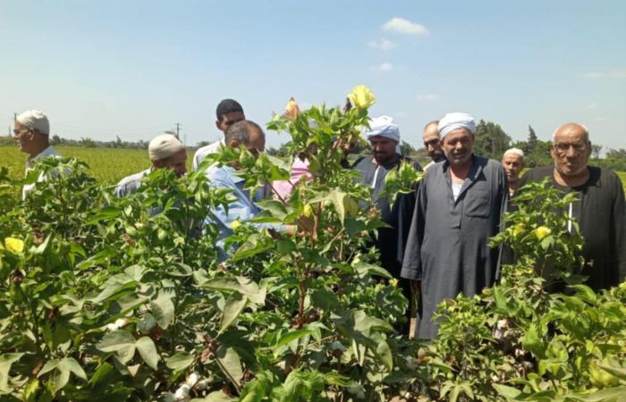 رئيس
      شئون
      المديريات
      يتابع
      بالنوبارية
      كارت
      الفلاح
      والاستعداد
      للموسم
      الشتوي المساء الاخباري ..