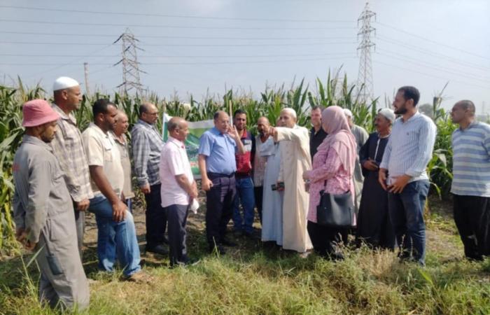 حقل
      إرشادي
      لتطبيق
      نتائج
      مشروع
      إنتاج
      خرائط
      خصوبة
      التربة
      بالوادي
      والدلتا المساء الاخباري ..