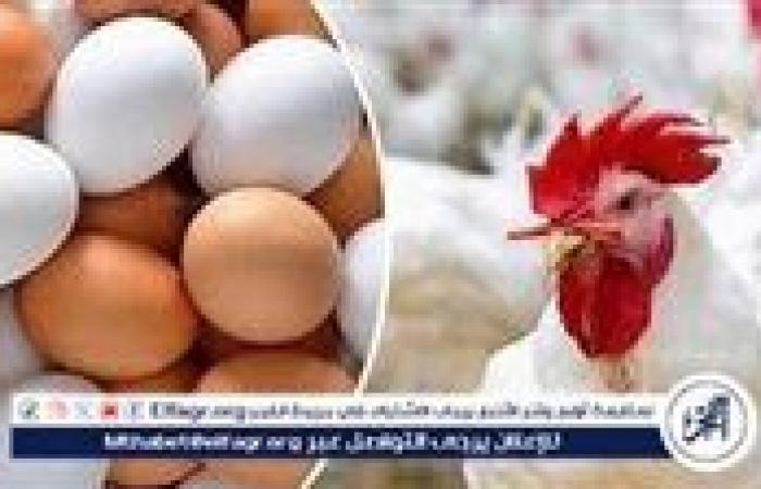 أسعار
      البيض
      اليوم
      الأحد
      20-10-2024
      في
      الدقهلية