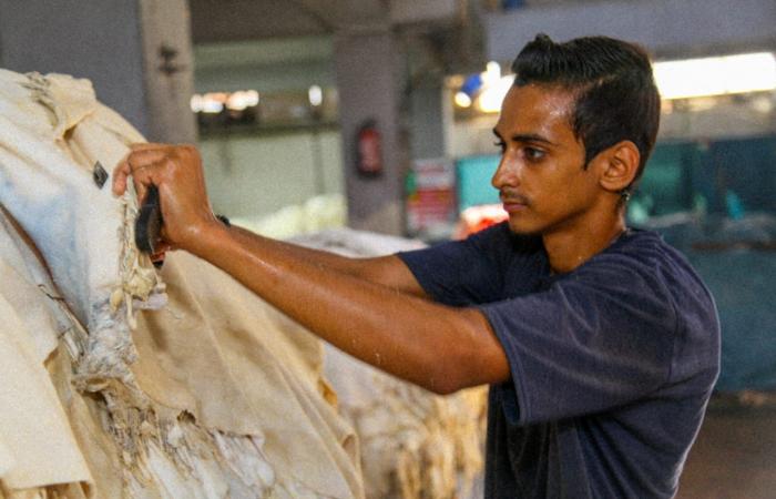 مدابغ
      الروبيكي..
      تراث
      عريق
      وتحديات
      معاصرة
      في
      صناعة
      الجلود
      بمصر المساء الاخباري ..