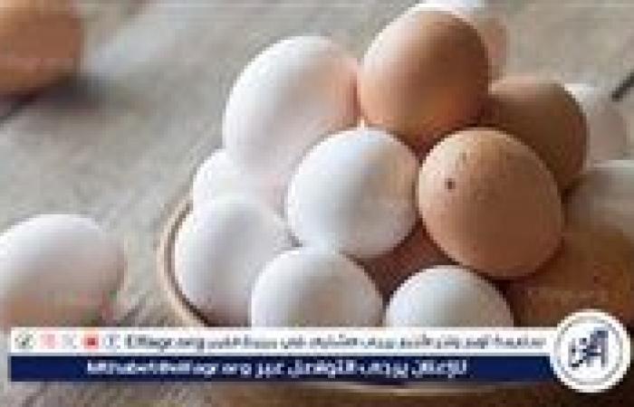 اسعار
      البيض
      اليوم
      الثلاثاء
      22-10-2024
      في
      الدقهلية