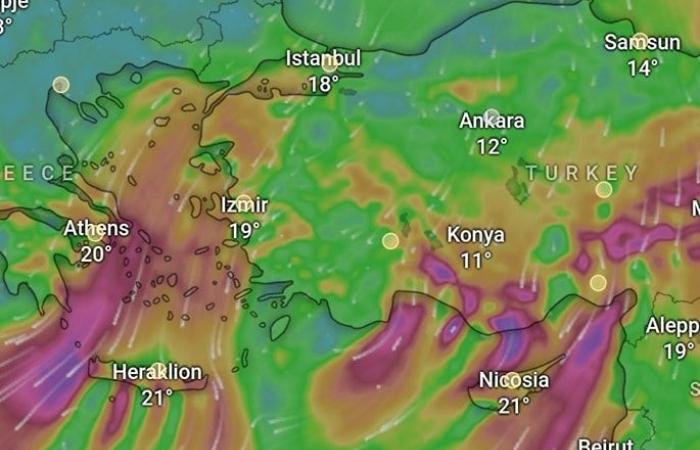 طقس
      متقلب
      ..
      الأرصاد
      تحذر
      من
      أمطار
      ورياح
      تهب
      على
      هذه
      المناطق .. بوابة المساء الاخباري