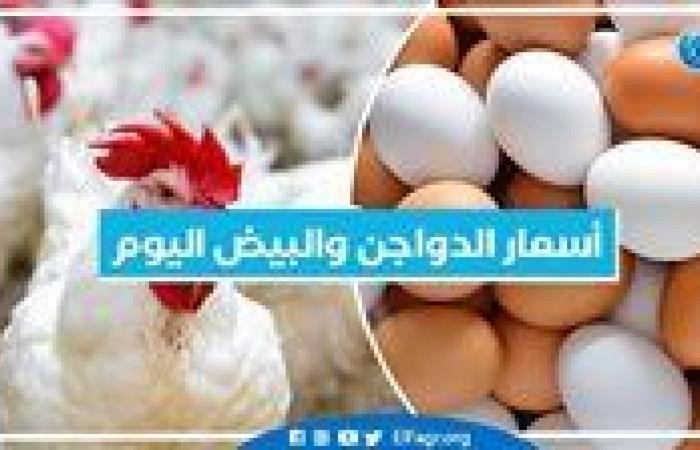 أسعار
      الدواجن
      والبيض
      اليوم السبت
      26-10-2024 بمحافظة
      البحيرة