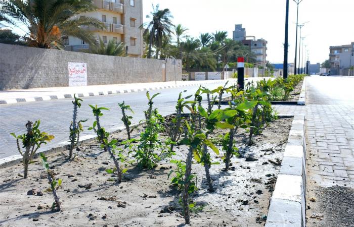 محافظ
      البحيرة
      تفتتح
      مشروعات
      تنموية
      ممولة
      من
      الاتحاد
      الأوروبي
      بإدكو..
      صور . المساء الاخباري