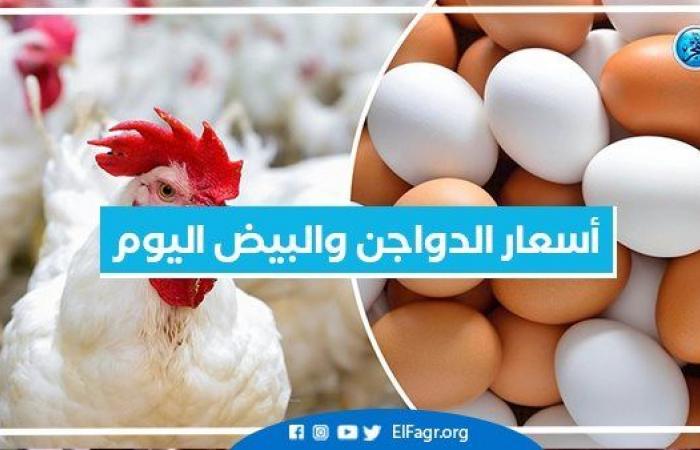 عاجل
      -
      بورصة
      الدواجن
      اليوم..
      أسعار
      الفراخ
      البلدي
      والبيضاء
      ومفاجأة
      تسعد
      المواطنين
      (تفاصيل)