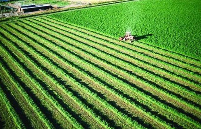 أستاذ
      اقتصاد:
      العنصر
      البشري
      أساس
      التنمية
      الزراعية .. بوابة المساء الاخباري