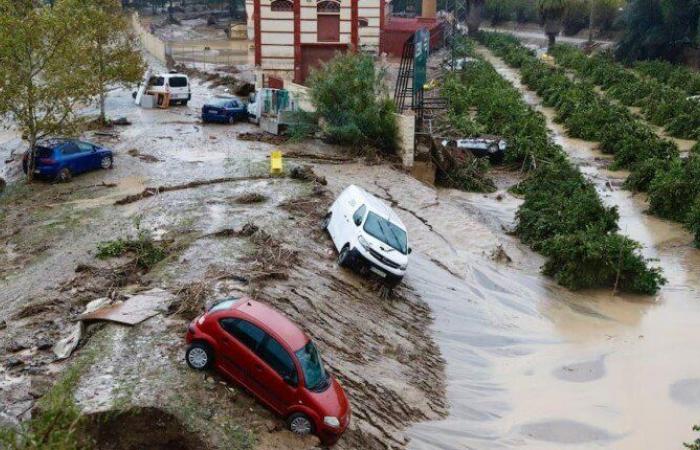 ارتفاع
      جديد
      في
      ضحايا
      الفيضانات
      المدمرة
      بإسبانيا - بوابة المساء الاخباري