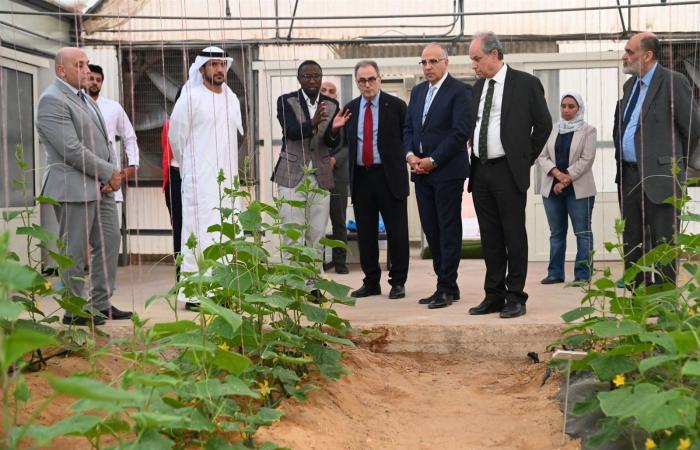 وفد
      إماراتي
      يزور
      الجامعة
      الأمريكية
      بالقاهرة . المساء الاخباري