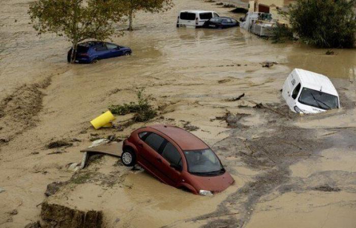 «عنيفة
      ومرعبة»..
      آخر
      تطورات
      فيضانات
      إسبانيا
      بعد
      مصرع
      200
      شخص - بوابة المساء الاخباري