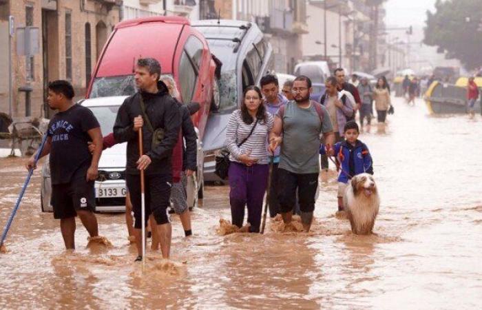 «عنيفة
      ومرعبة»..
      آخر
      تطورات
      فيضانات
      إسبانيا
      بعد
      مصرع
      200
      شخص - بوابة المساء الاخباري