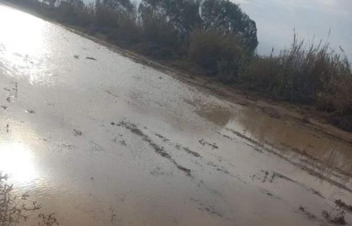 الأمطار
      والآبار..
      سر
      الحياة
      لقاطني
      الصحراء
      في
      مطروح .. بوابة المساء الاخباري