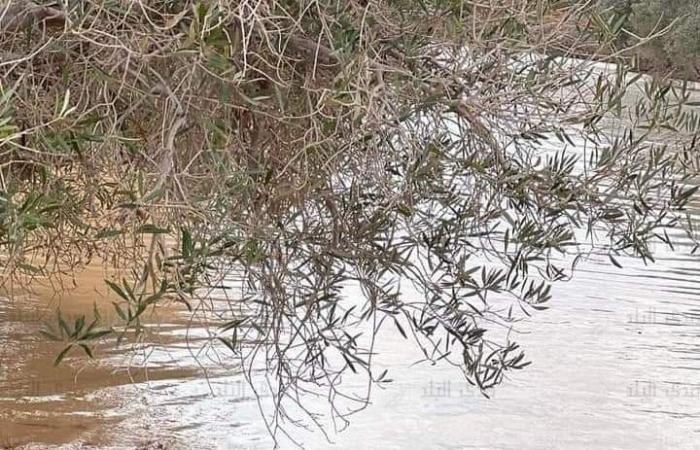 بالصور
      ..
      كيف
      استقبل
      اطفال
      الصحراء
      مياه
      الأمطار
      فى
      مطروح .. بوابة المساء الاخباري