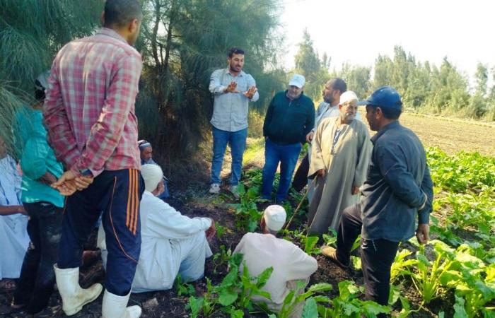 زراعة
      35
      ألف
      فدان
      بمحصول
      بنجر
      السكر
      في
      البحيرة..
      صور المساء الاخباري ..