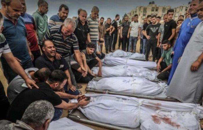 7
      شهداء
      إثر
      قصف
      الاحتلال
      جنوبي
      غزة..
      والدفاع
      المدني:
      مواطنو
      الشمال
      لا
      يجدون
      ما
      يأكلونه - بوابة المساء الاخباري