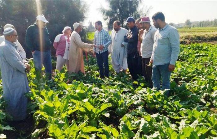 زراعة
      البحيرة
      تنظم
      ندوة
      إرشادية
      للفلاحين
      بأهم
      التوصيات
      لزيادة
      بنجر
      السكر .. بوابة المساء الاخباري