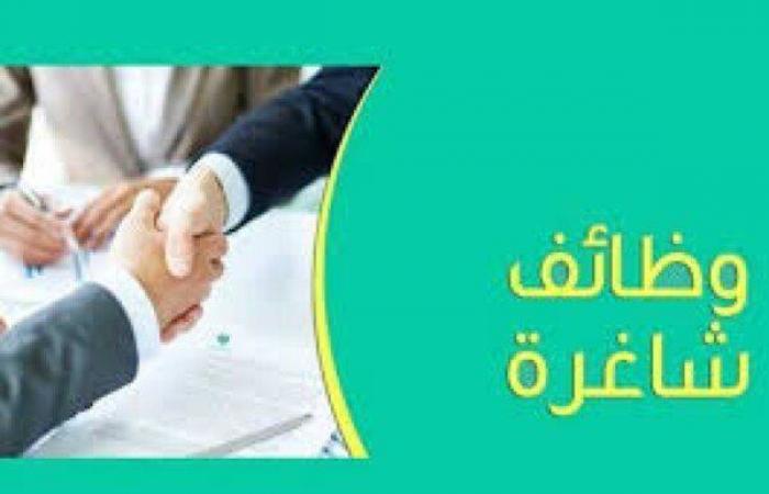 بـ
      مرتب
      8
      آلاف
      ريال
      شهريا..
      وزارة
      العمل
      تعلن
      عن
      وظائف
      جديدة
      بالسعودية - بوابة المساء الاخباري