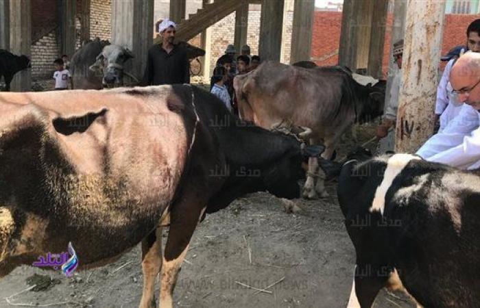 غدًا..
      انطلاق
      الحملة
      القومية
      للتحصين
      ضد
      مرضى
      الحمى
      القلاعية
      بكفر
      الشيخ .. بوابة المساء الاخباري