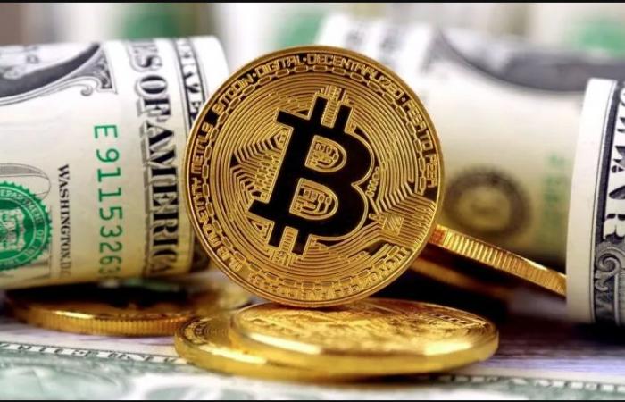 تعاملات
      نشطة
      لسوق
      العملات
      المشفرة..
      وبيتكوين
      ترتفع
      16% - بوابة المساء الاخباري