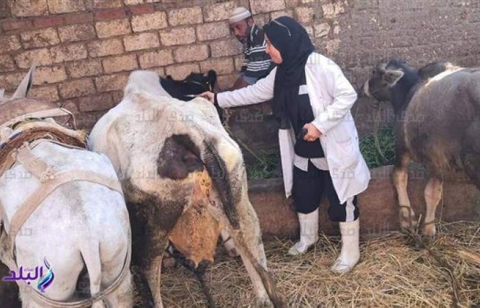 «بيطري
      كفر
      الشيخ»
      تواصل
      حملات
      تحصين
      المواشي
      ضد
      الحمى
      القلاعية .. بوابة المساء الاخباري