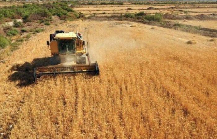 مركز
      عالمي
      لتخزين
      وتوزيع
      الحبوب
      والمواد
      الغذائية
      على
      أرض
      مصر
      «تفاصيل» - بوابة المساء الاخباري