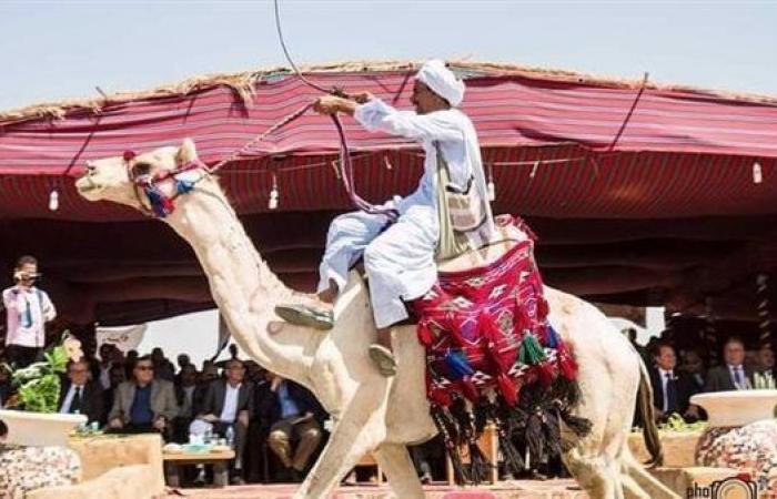 انطلاق
      سباق
      الهجن
      والفروسية
      تحت
      شعار
      كل
      الطرق
      تقود
      إلى
      الوادي
      الجديد .. بوابة المساء الاخباري