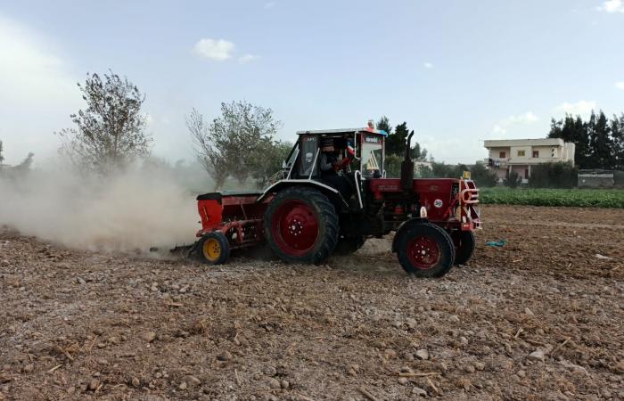 زراعة
      محصول
      القمح
      بـ"السطارة"
      بالبحيرة..
      المزراعون:
      توفر
      التقاوي
      وتساهم
      في
      زيادة
      الإنتاجية المساء الاخباري ..