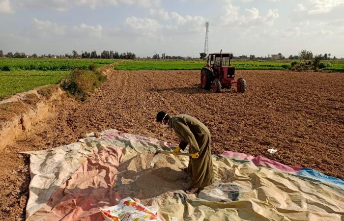 زراعة
      محصول
      القمح
      بـ"السطارة"
      بالبحيرة..
      المزراعون:
      توفر
      التقاوي
      وتساهم
      في
      زيادة
      الإنتاجية المساء الاخباري ..