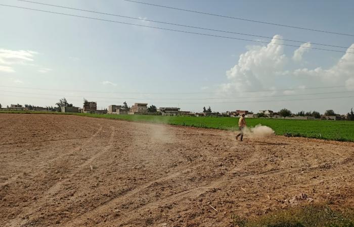 زراعة
      محصول
      القمح
      بـ"السطارة"
      بالبحيرة..
      المزراعون:
      توفر
      التقاوي
      وتساهم
      في
      زيادة
      الإنتاجية المساء الاخباري ..