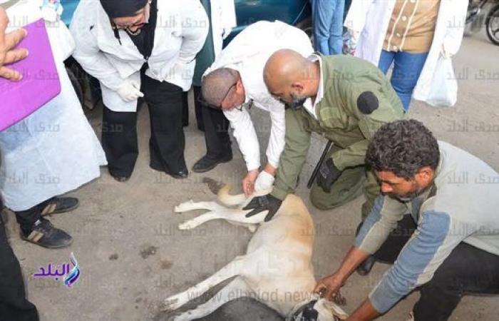 رئيس
      مدينة
      بورسعيد:
      حملات
      التحصين
      مستمرة
      بشكل
      يومي .. بوابة المساء الاخباري