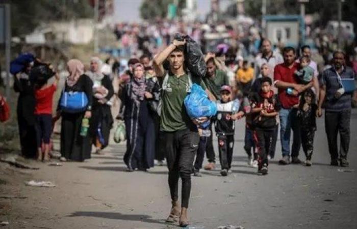 بعد
      أوامر
      الإخلاء..
      مئات
      الفلسطينيين
      ينزحون
      قسرًا
      من
      حي
      الشجاعية
      شرق
      غزة .. بوابة المساء الاخباري