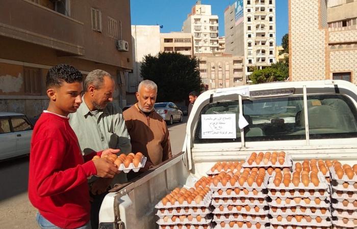 بـ
      145
      جنيهًا
      ..
      إقبال
      كبير
      من
      المواطنين
      على
      سيارات
      بيع
      بيض
      المائدة
      بدمنهور المساء الاخباري ..