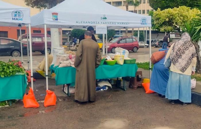 إقبال
      جماهيري
      على
      سوق
      اليوم
      الواحد
      للمزارعين
      بمحطة
      الرمل..
      صور المساء الاخباري ..