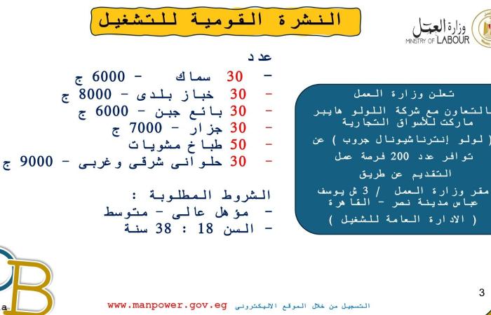 ألحق فرصتك.. 4599 وظيفة في 53 شركة بـ10 محافظات.. والتقديم خلال ديسمبر .. بوابة المساء الاخباري