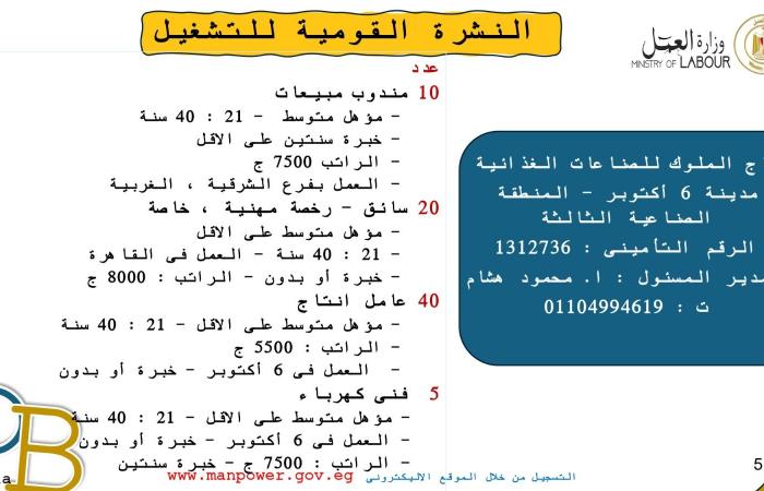 ألحق فرصتك.. 4599 وظيفة في 53 شركة بـ10 محافظات.. والتقديم خلال ديسمبر .. بوابة المساء الاخباري