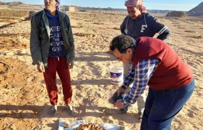 بحوث الصحراء يزرع حقول إرشادية لزيادة الإنتاجية باستخدام أسمدة حيوية وعضوية .. بوابة المساء الاخباري