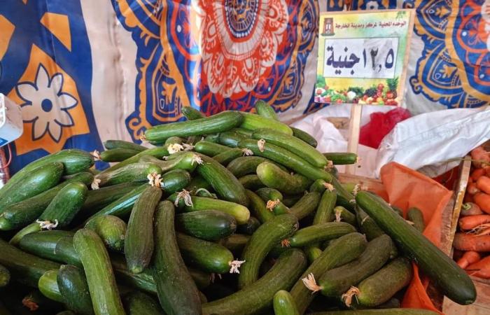 كل السلع موجودة.. منافذ التموين بمركز الخارجة تشهد تطورا نوعيا |صور .. بوابة المساء الاخباري