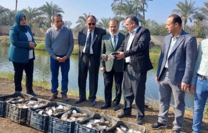 انطلاق
      موسم
      حصاد
      السمك
      البلطي
      بالمزارع
      السمكية
      المفتوحة
      بزراعة
      بنها - بوابة المساء الاخباري