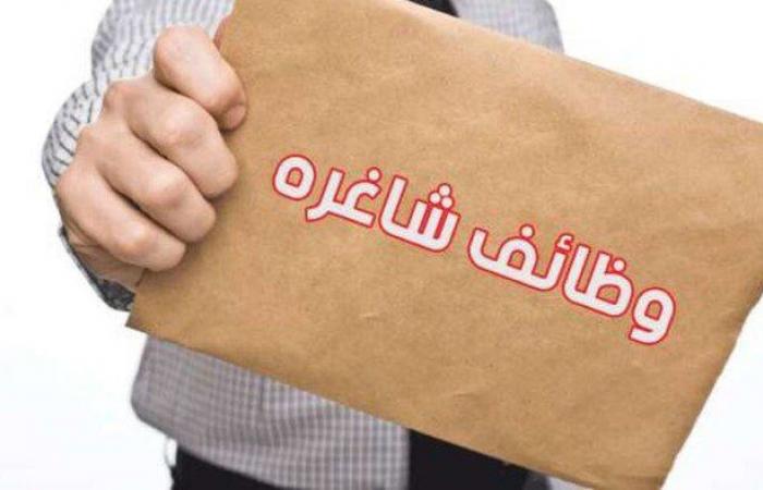 وظائف
      شاغرة
      بالهيئة
      المصرية
      للكتاب..
      التخصص
      والأوراق
      المطلوبة - بوابة المساء الاخباري