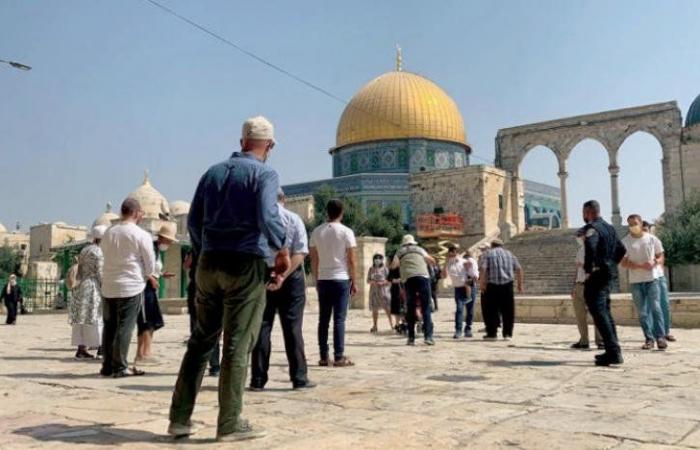 مستوطنون
      يقتحمون
      المسجد
      الأقصى
      بحماية
      شرطة
      الاحتلال
      الإسرائيلي - بوابة المساء الاخباري