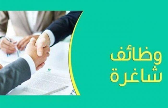 وظائف
      وزارة
      التنمية
      المحلية
      2024..
      الشروط
      وطريقة
      التقديم - بوابة المساء الاخباري