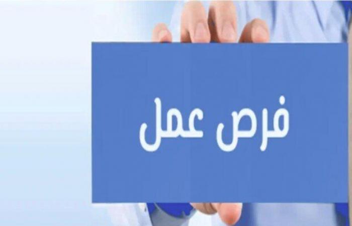 وظائف
      التضامن
      الاجتماعي..
      المهام
      والشروط
      وكيفية
      التقديم - بوابة المساء الاخباري