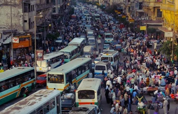 خبراء الضرائب: استصلاح الأراضي الصحراوية يساهم في تحقيق الاكتفاء الذاتي وتقليل الاستيراد .. بوابة المساء الاخباري